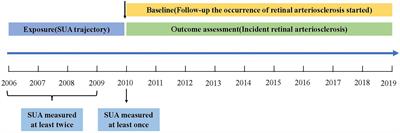 Sex-specific association of serum uric acid trajectories with risk of incident retinal arteriosclerosis in Chinese population: A population-based longitudinal study